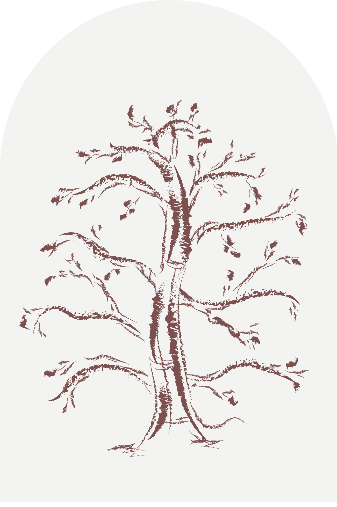 Cedre logo